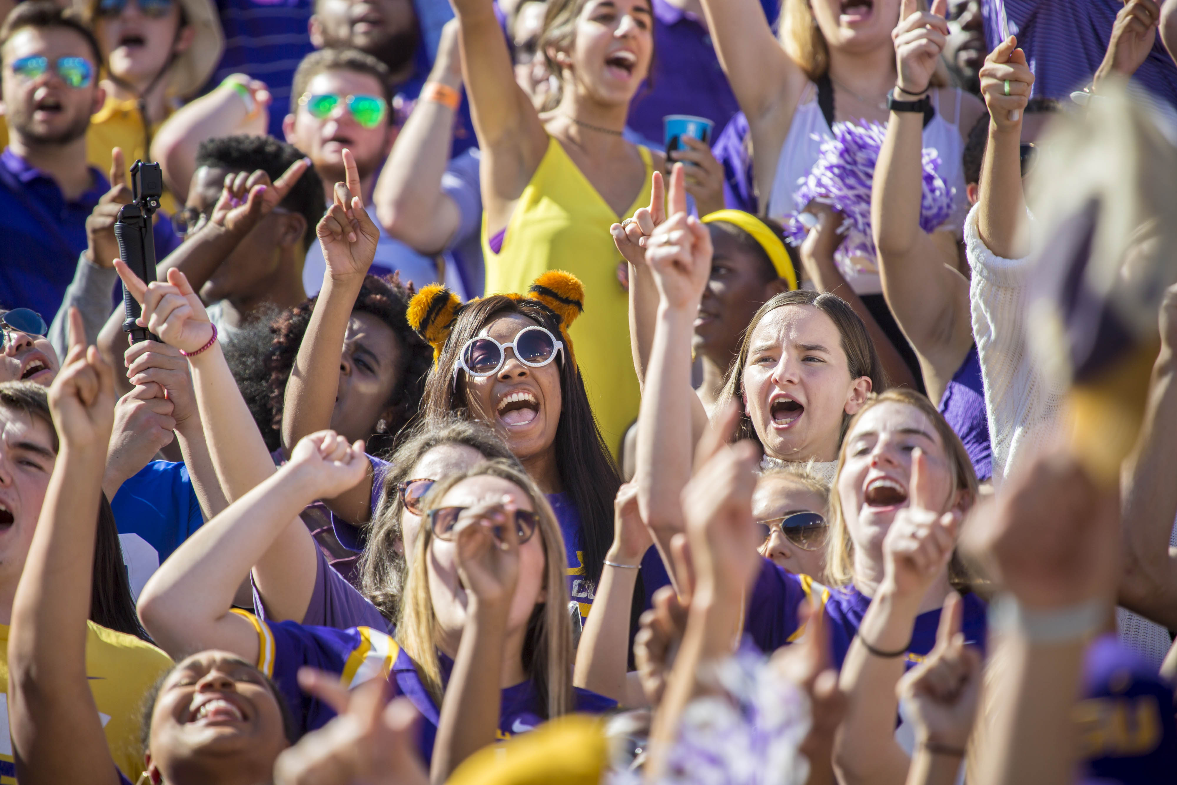 football student section