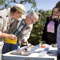 Students work on geology project.