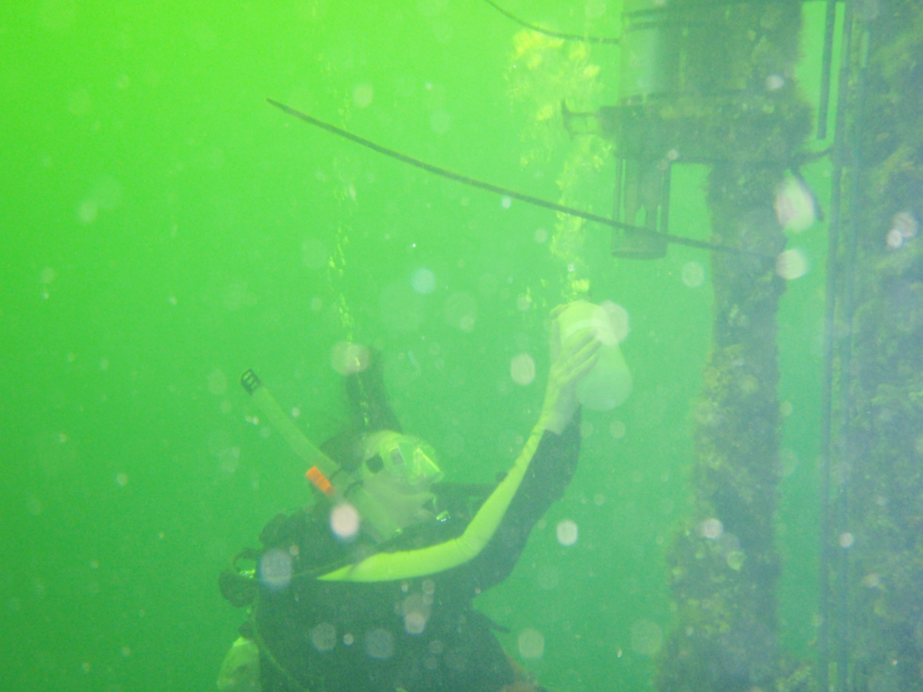 Nancy collecting samples.